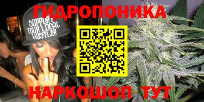 mdma Пенза