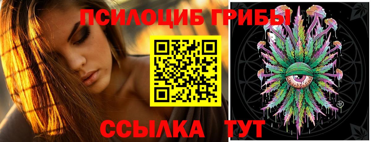 Псилоцибиновые грибы Psilocybine cubensis Трёхгорный